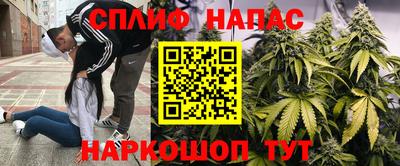 гидропоника Можайск