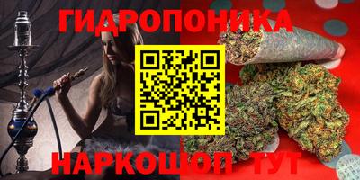 гидропоника Можайск