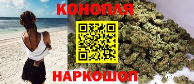 гидропоника Можайск