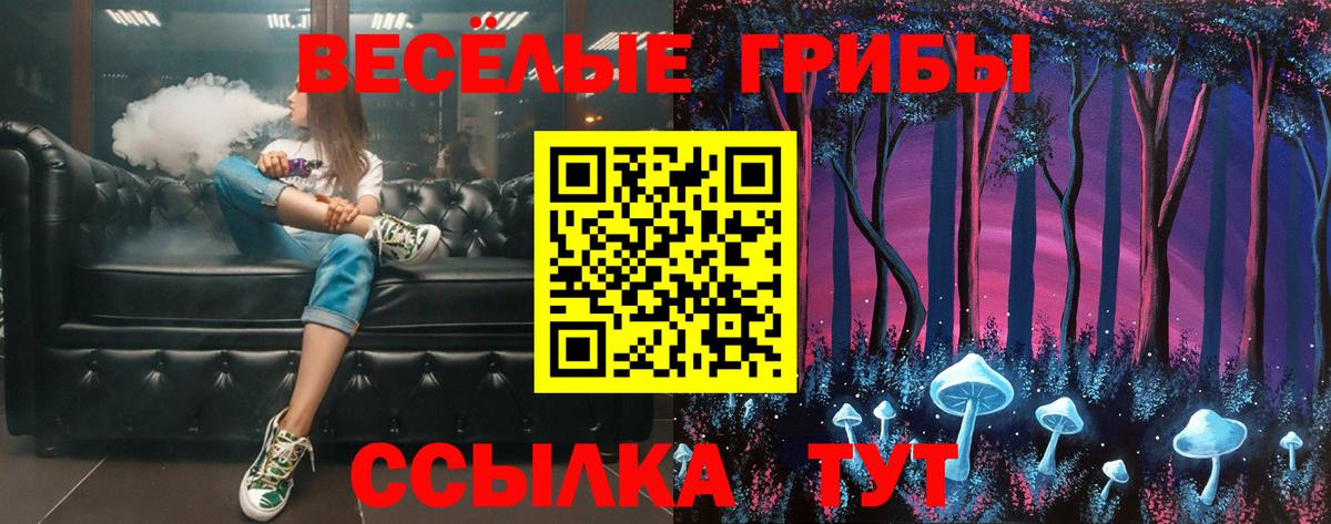 купить наркотики сайты  Вход с VPN  Удомля  Псилоцибиновые грибы мухоморы 